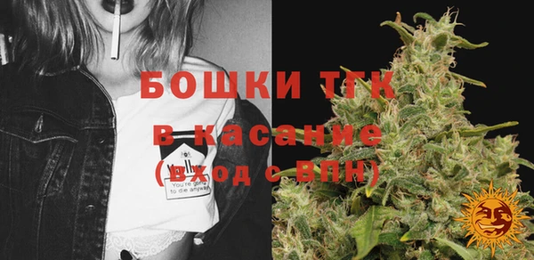 крисы Богородицк