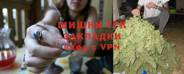 крисы Богородицк